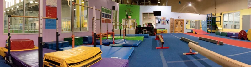 The Tumble Gym of Wake Forest Gymnastics -  - Poster