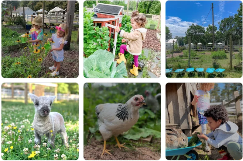 My Little Farmer Durham -  - Poster